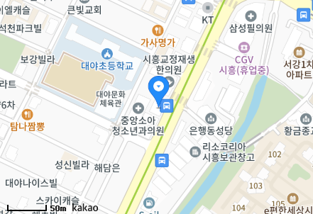 경기도 시흥시 대야동 일요일 진료 휴일 문 여는 병원