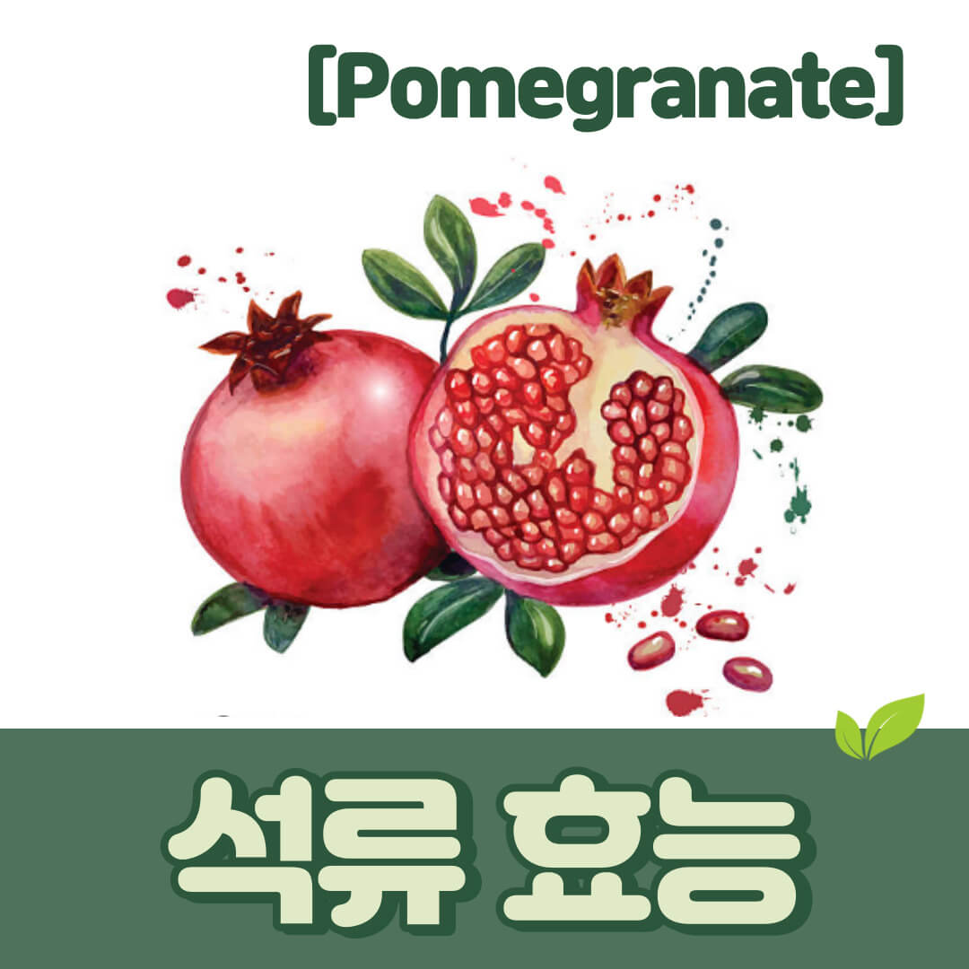 석류