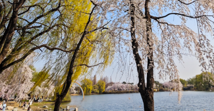 서울근교나들이