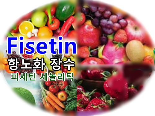 건강한 장수-피세틴