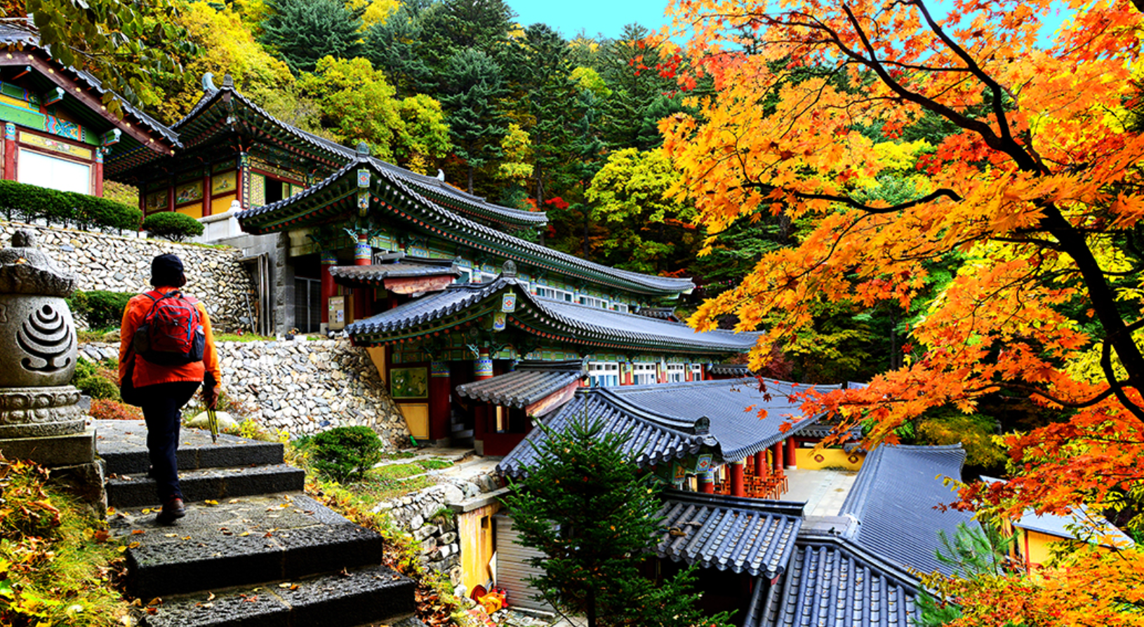 평창 가볼만한곳 베스트10