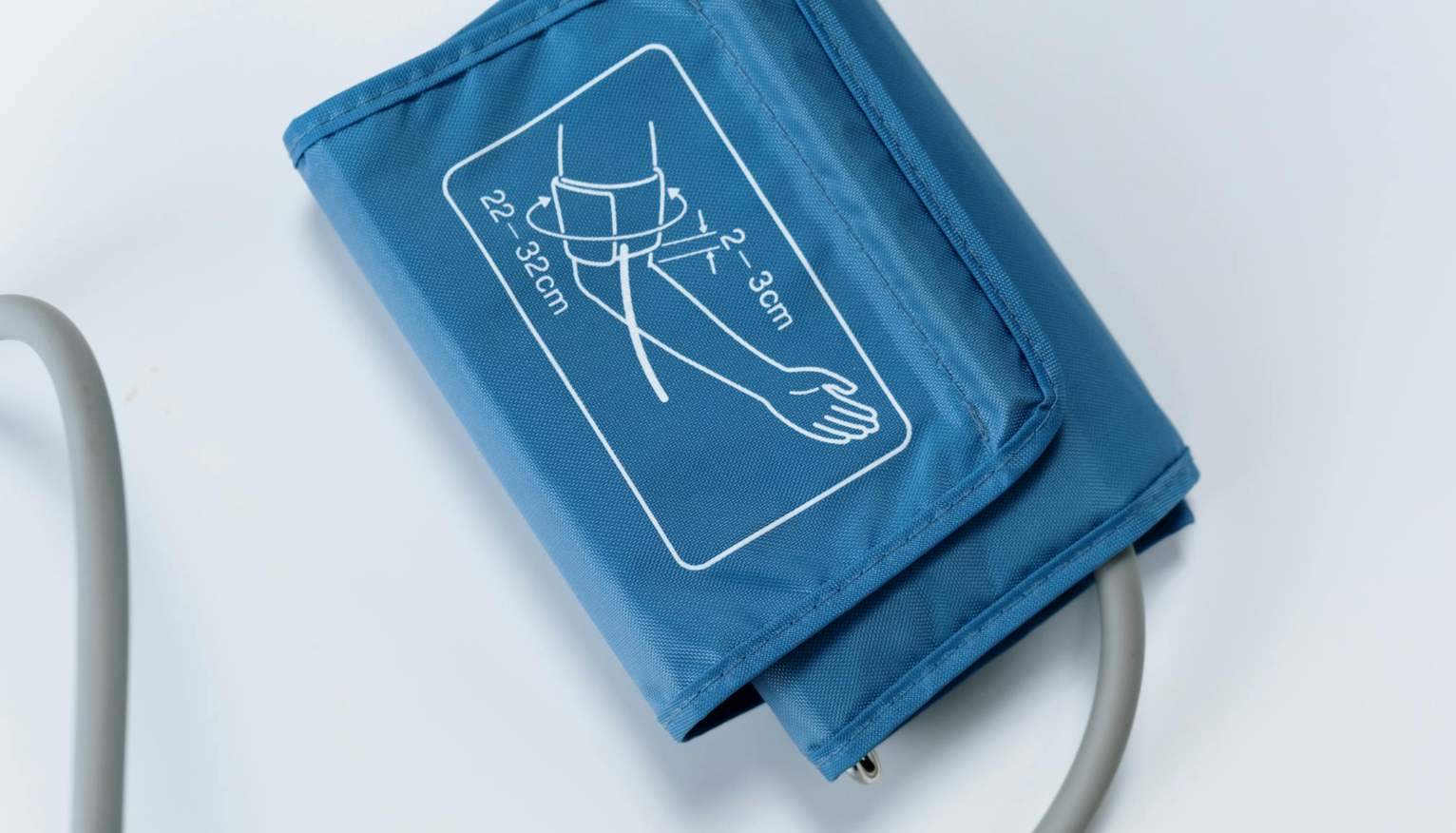 심장 관련 사진