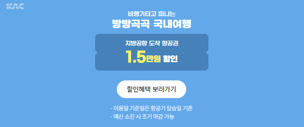 국내 항공권 할인