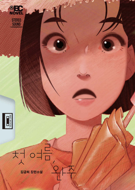 소설 첫 여름, 완주에 관한 설명