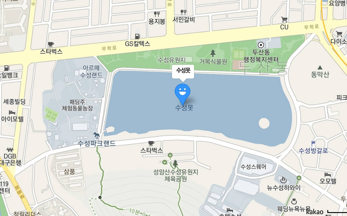 수성빛예술제, 드론쇼와 작가들의 작품쇼는 이번이 4회차입니다.