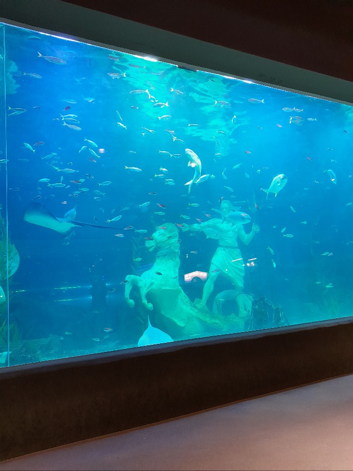 대전 신세계 엑스포 아쿠아리움 할인 주차