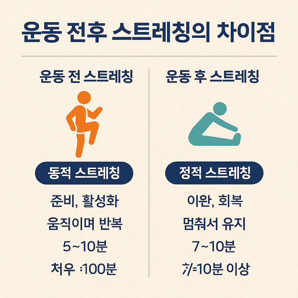 운동 전후 스트레칭