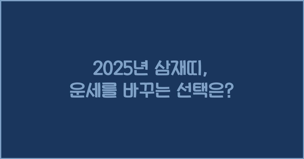 2025년 삼재띠