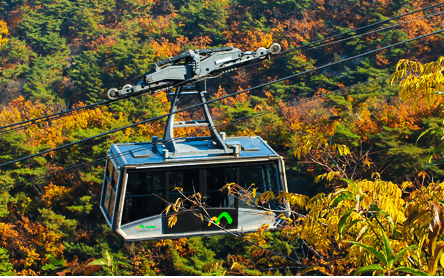 5월 가족 나들이 추천 BEST 7