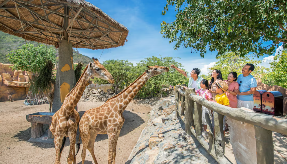 나트랑 아이 동반 3박 4일 빈펄 섬 vs 시내 호텔? 숙소 조합 추천 (동선 최소화)