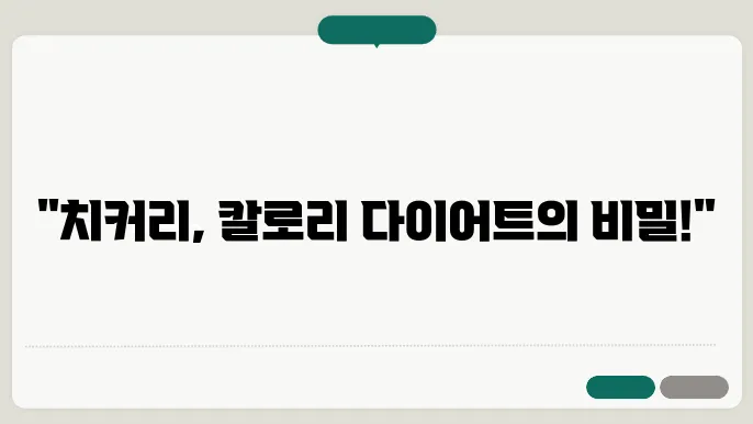 치커리 칼로리