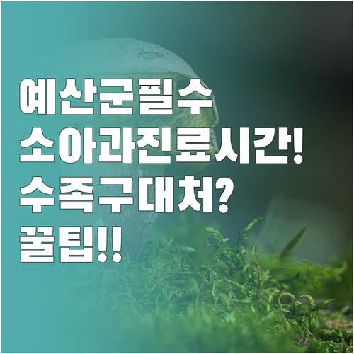 예산군 소아과 진료 시간 및 수족구 ..