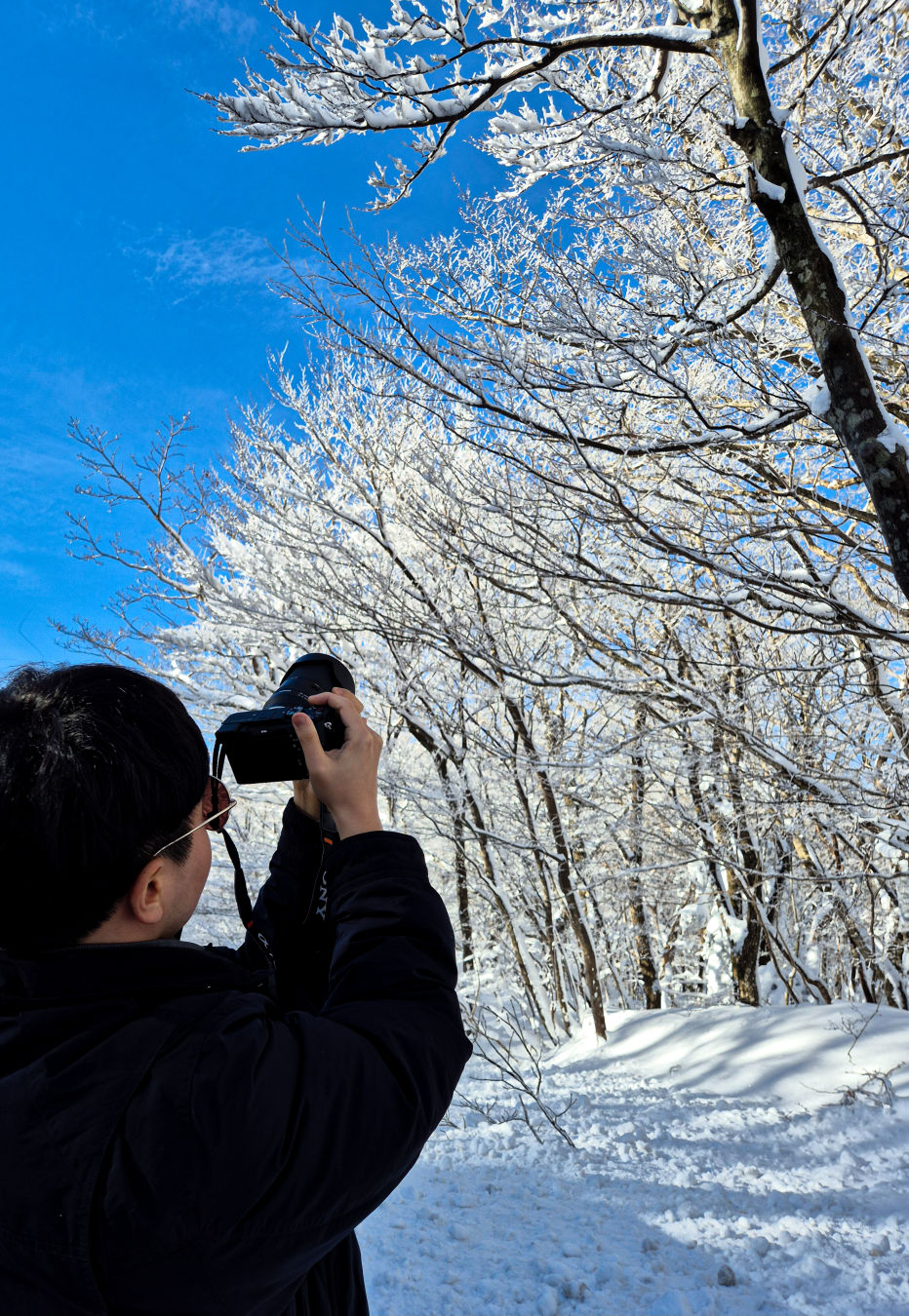 1100 고지 제주 겨울