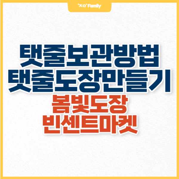 아기 탯줄 보관 방법 탯줄 도장