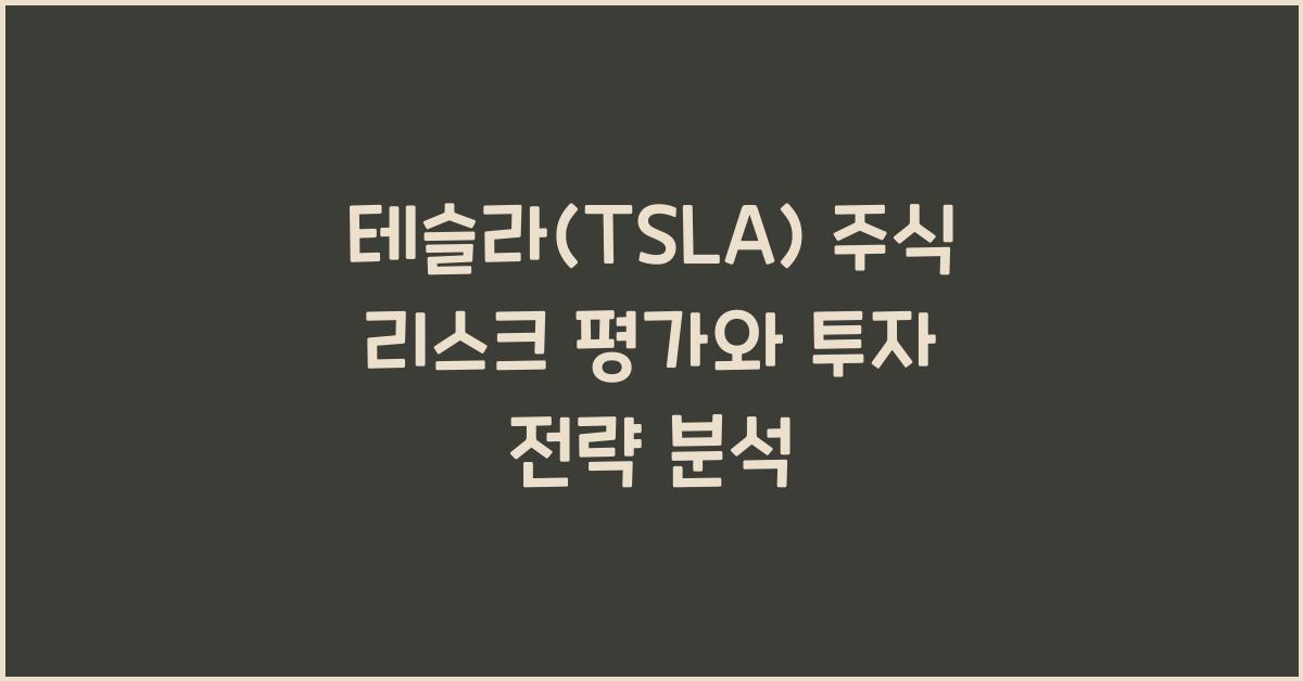 테슬라(TSLA) 주식 리스크 평가