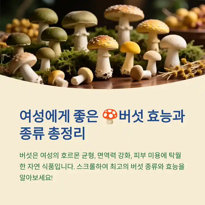 여성에게 좋은 🍄버섯 효능과 종류 총정리