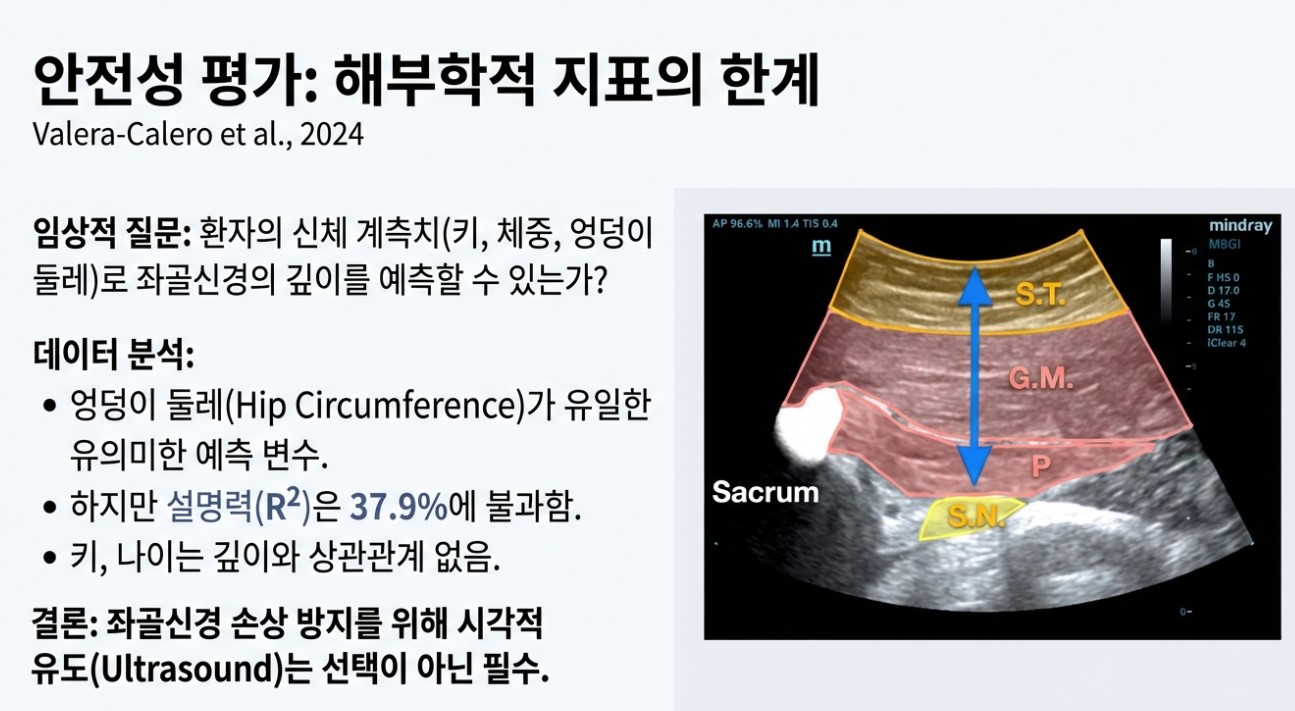 이상근 증후군에 대한 초음파 유도 시술 안전성-구로디지털단지 한의원