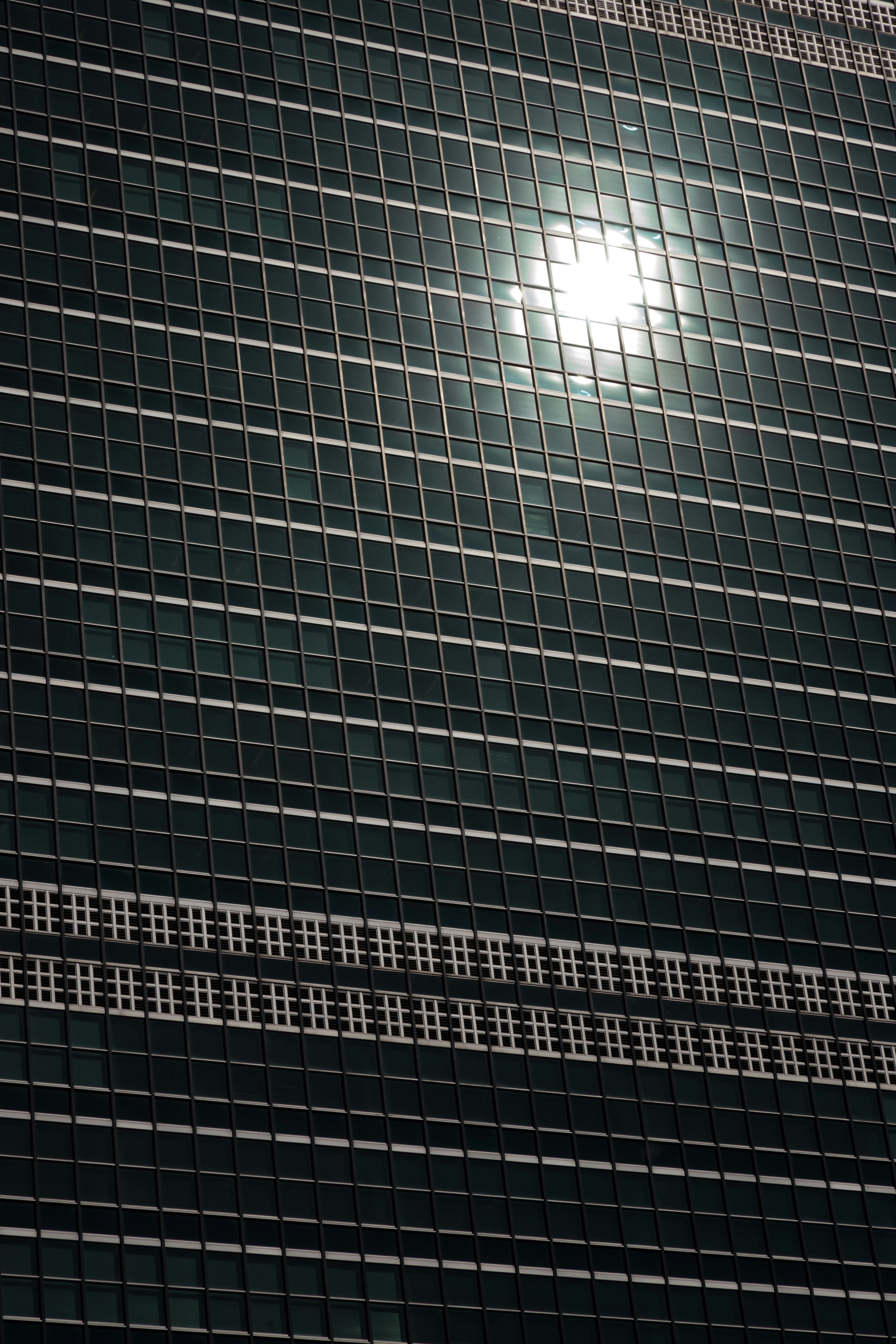 대규모 태양광 발전소에 설치된 태양광 패널