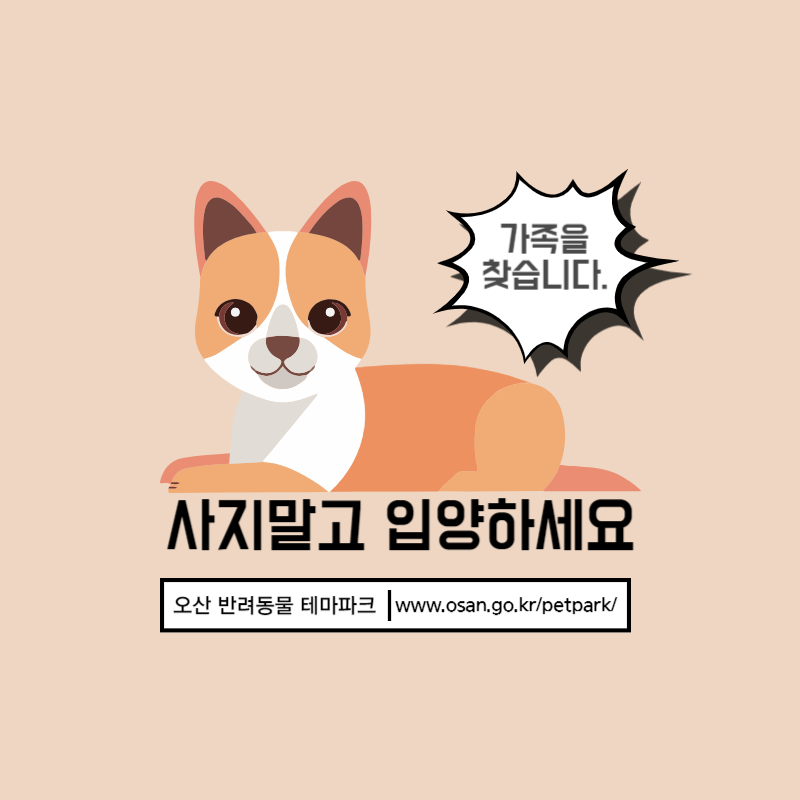 유기견 유기견입양 유기견입양프로그램 유기견보호소 오산반려동물테마파크
