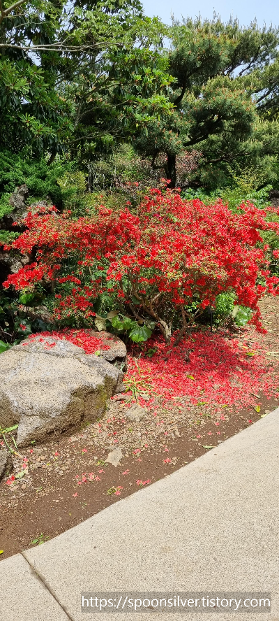 제주스누피가든