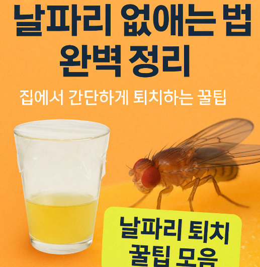 하루 만에 날파리 싹 없앴어요|집에 있는 재료로 가능!