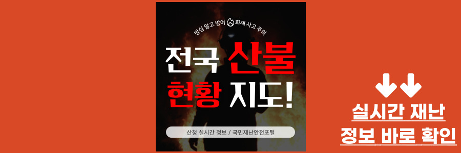 산불 현황