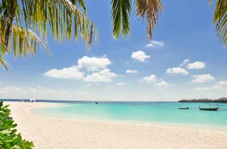 서해안 해수욕장 개장일 폐장일 운영시간