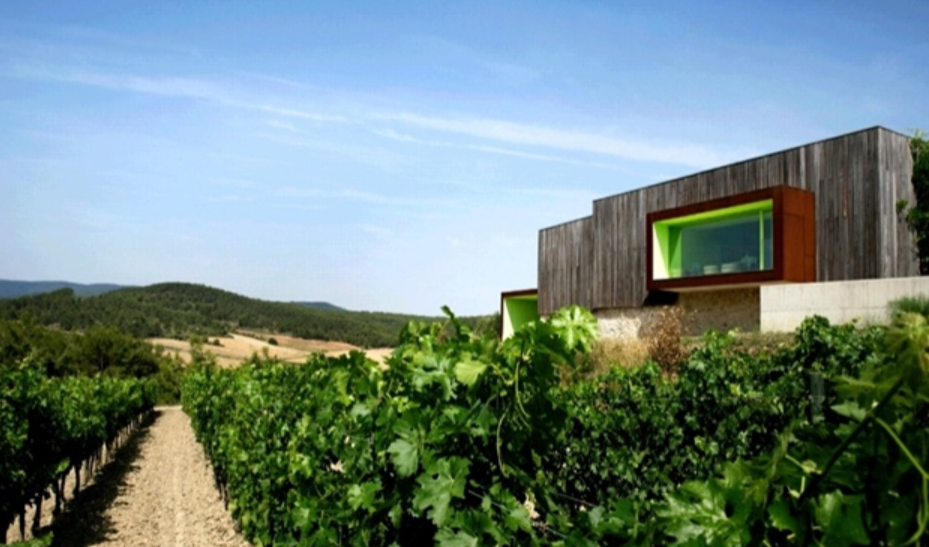 페네데스, 스페인, 와이너리 투어 사진