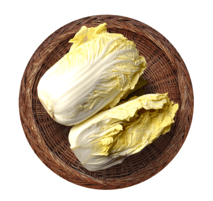 절임배추 만드는법 영양 보관방법 구매팁