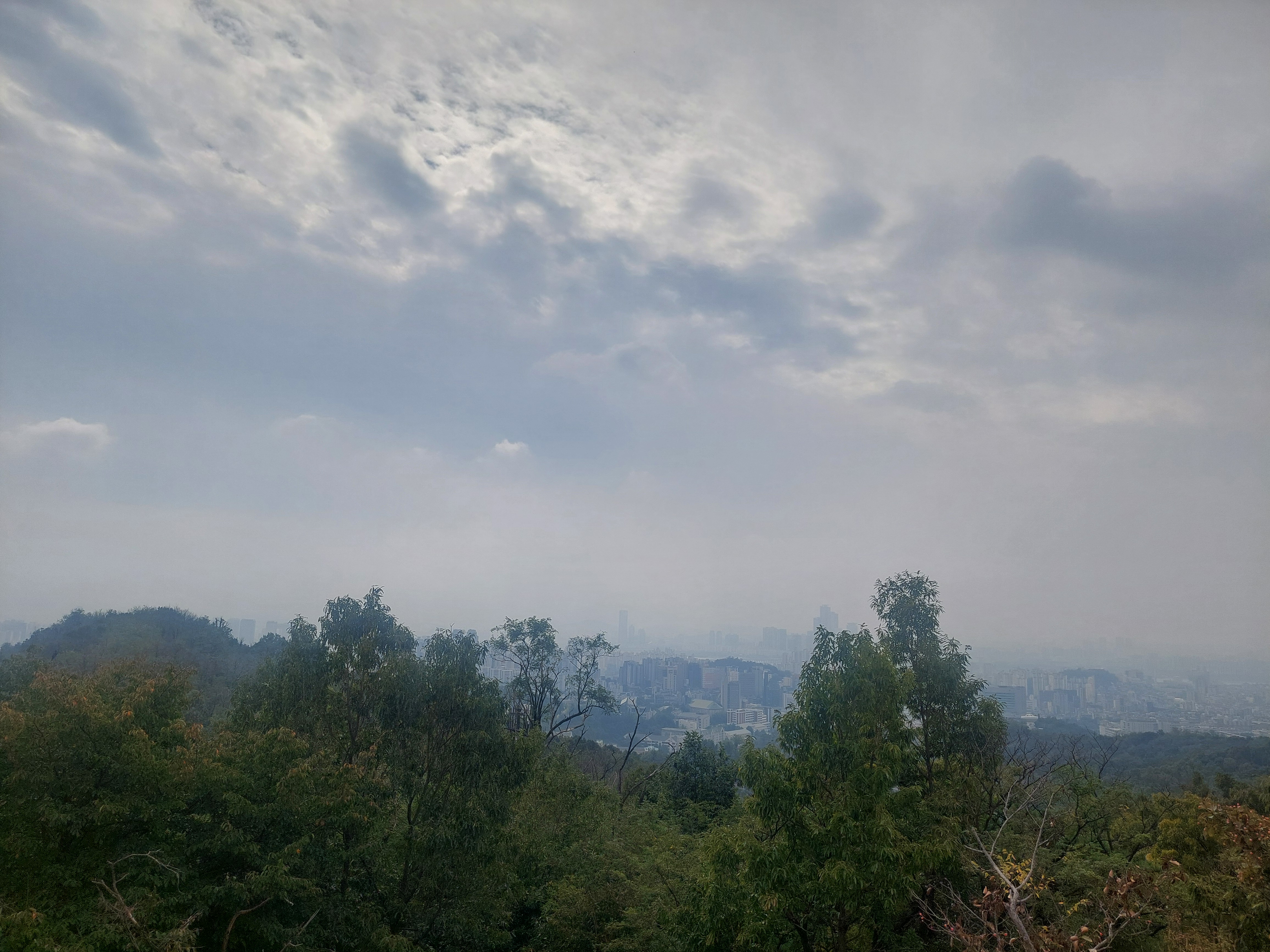 안산
