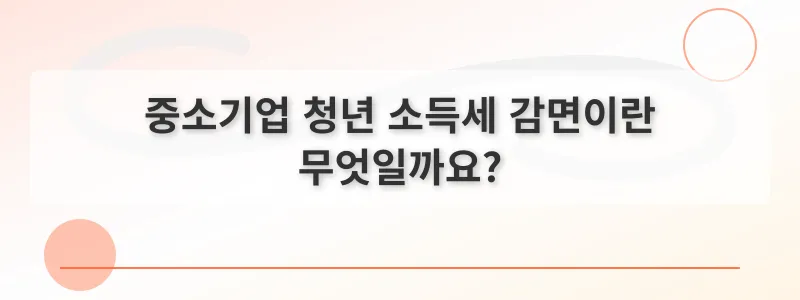 중소기업 청년 소득세 감면이란 무엇일까요?