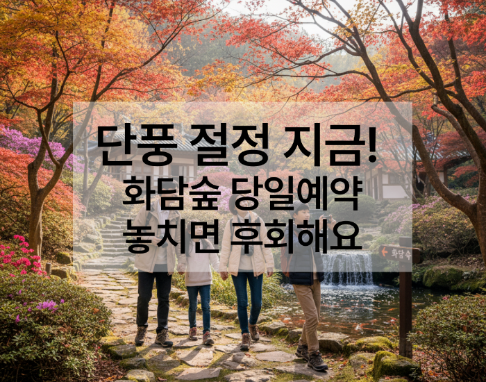 화담숲 당일예약 꿀팁｜당일치기로 다녀온 가을 단풍 명소