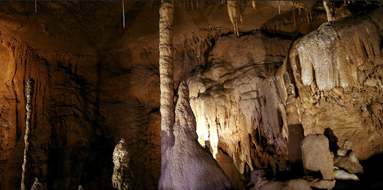 삼척 대금굴 예약 방법