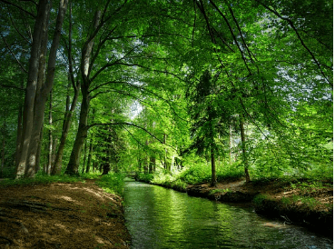 산림복지버시브이용권