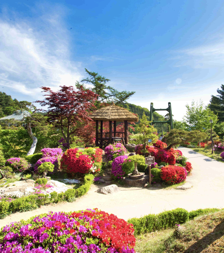 아침고요수목원 정원