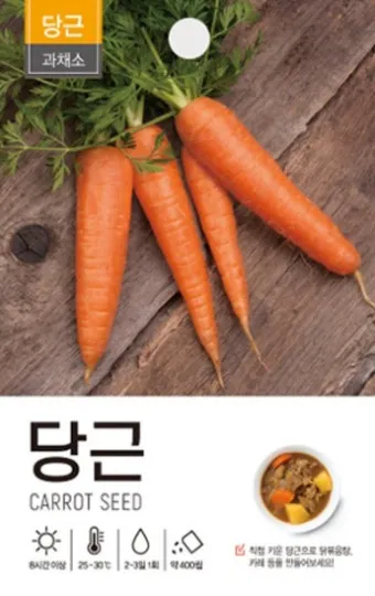 당근잎 효능과 당근잎 먹는 법 집에서 키우는 방법_4