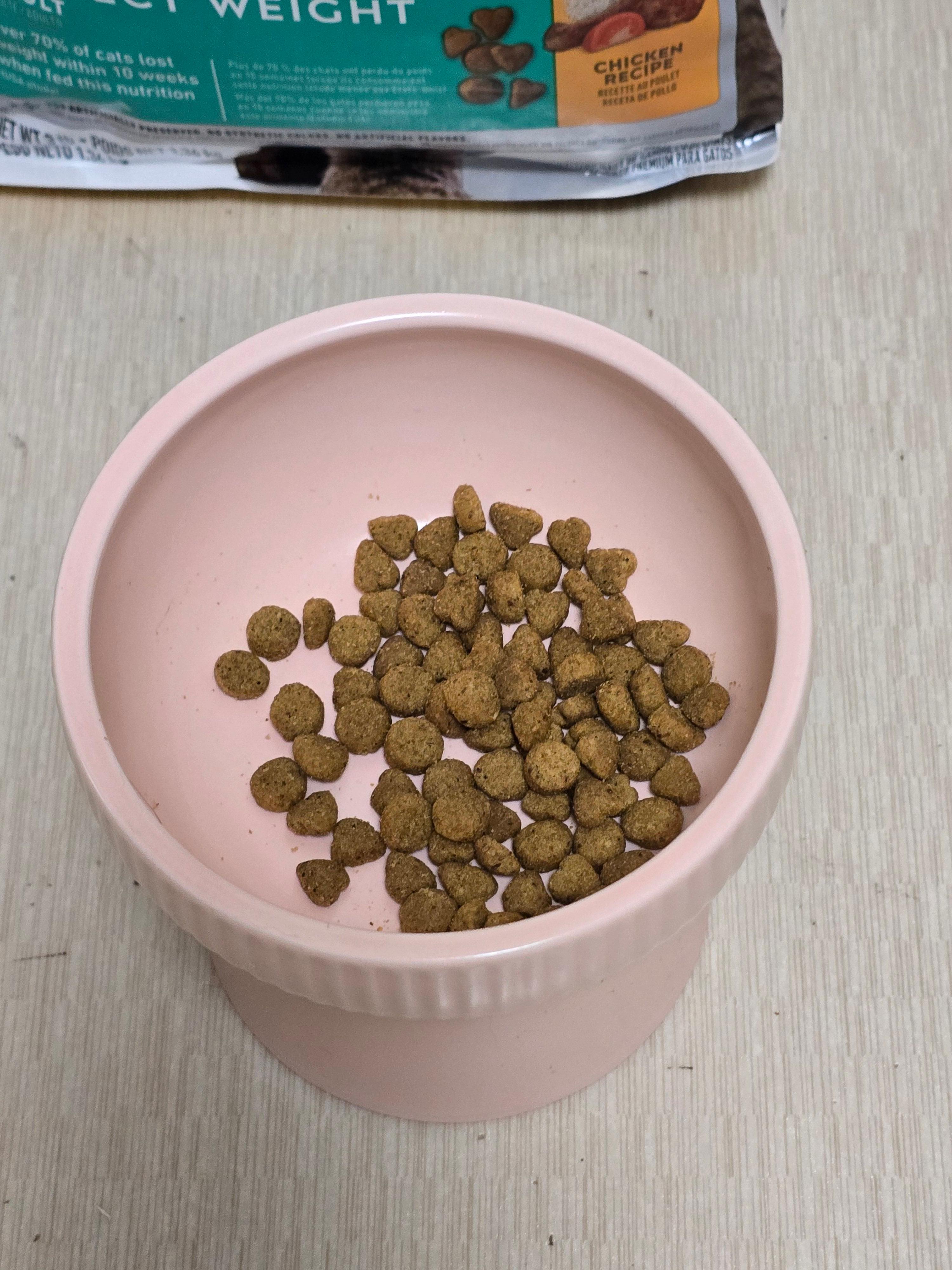 힐스캣퍼팩트웨이트 사료 후기6