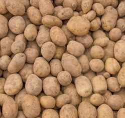 위궤양에 좋은 음식 영양제 식단