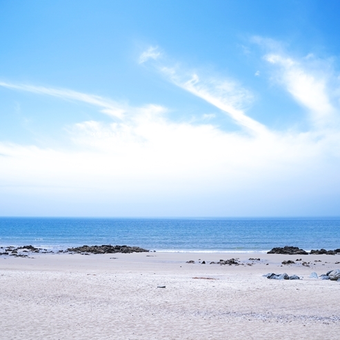 안면도 가볼만한 곳