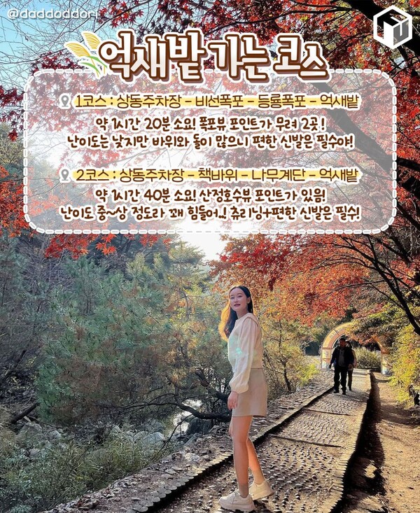 2024 포천 산정호수 명성산 억새꽃축제 가을의 절경 속으로 떠나는 여행