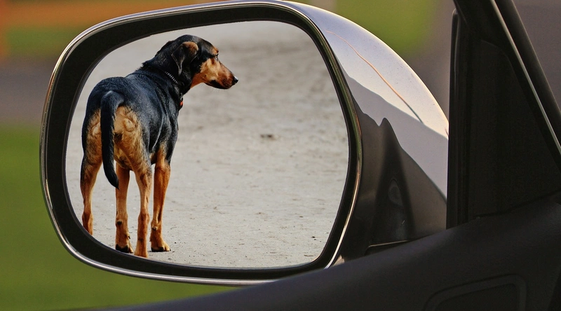 2025년 시중노임단가의 중요성
