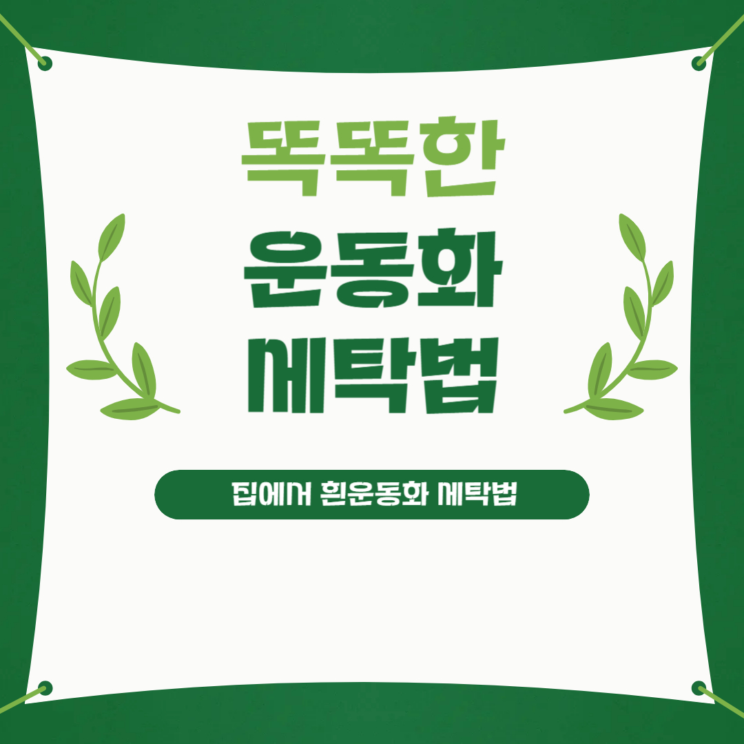 운동화세탁법 완정 정리 이미지