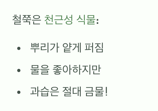 물은 좋아하지만, 장화는 싫어해요