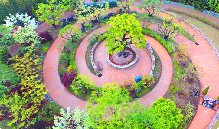 에버랜드 로로티 장미축제