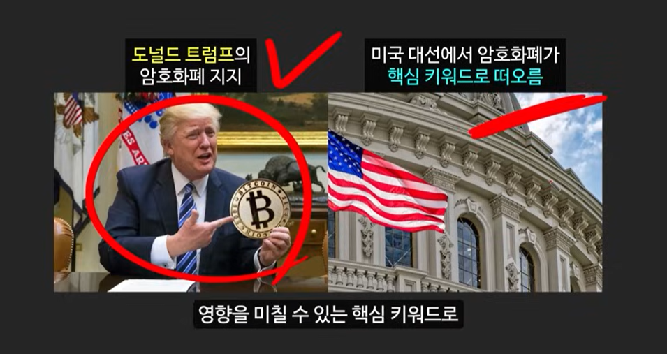 일론 머스크가 주목한 베이비 도지 코인, 급등 가능성은?