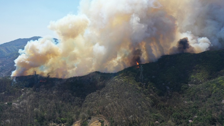 타인 소유의 산림에 불을 지른 경우