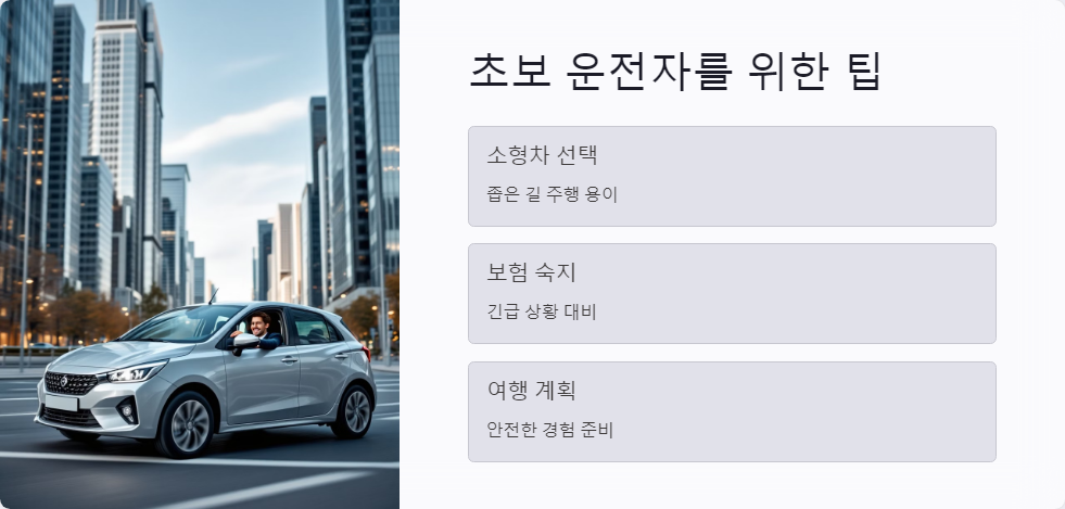 렌터카보험