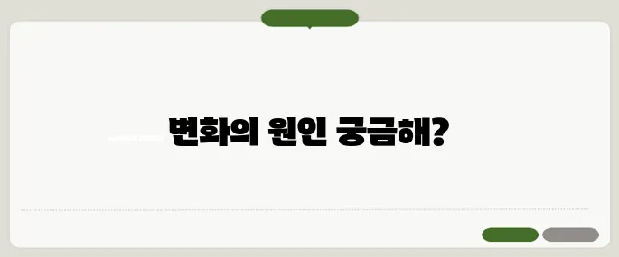 금전수 잎이 노랗게 변하는 이유 정리