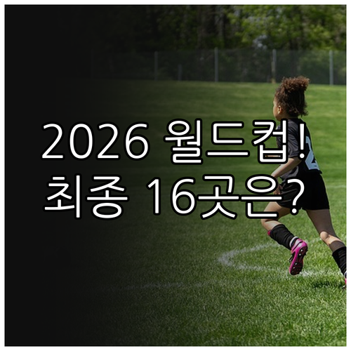 2026 월드컵 뉴욕 댈러스 아스테카..