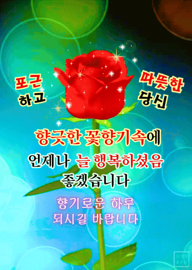 사랑과 행복 명언 이미지